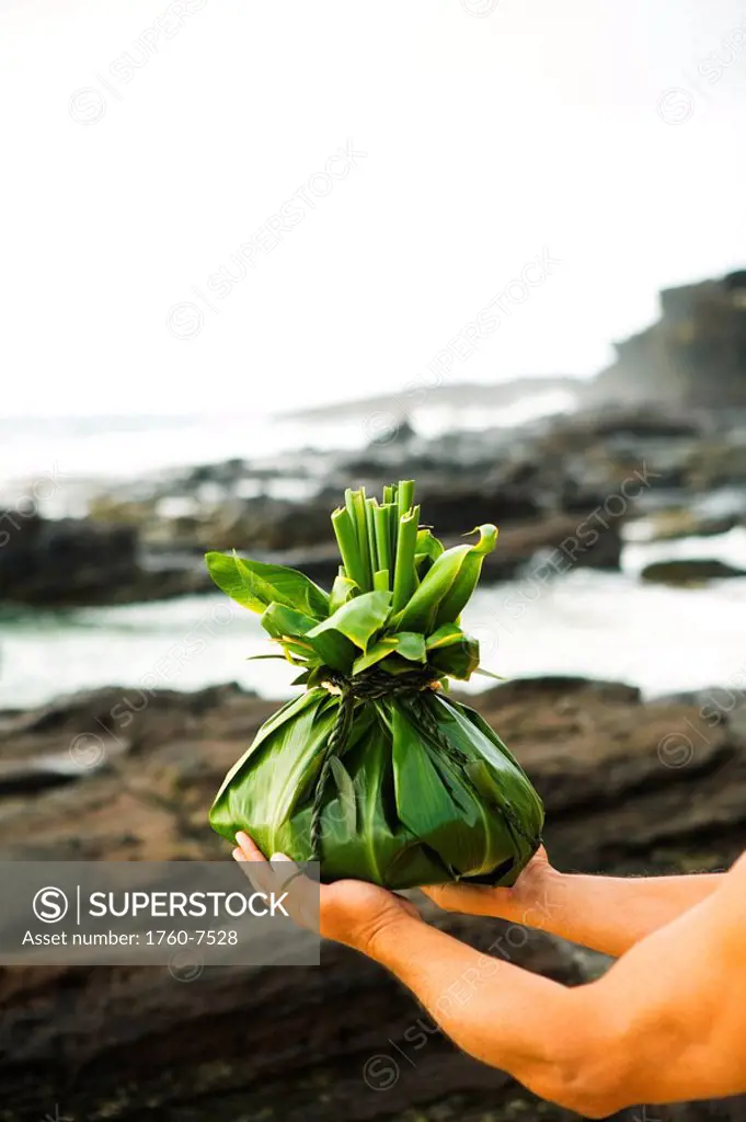 Hawaii, Oahu, Man hands holding hawaiian offering at shoreline