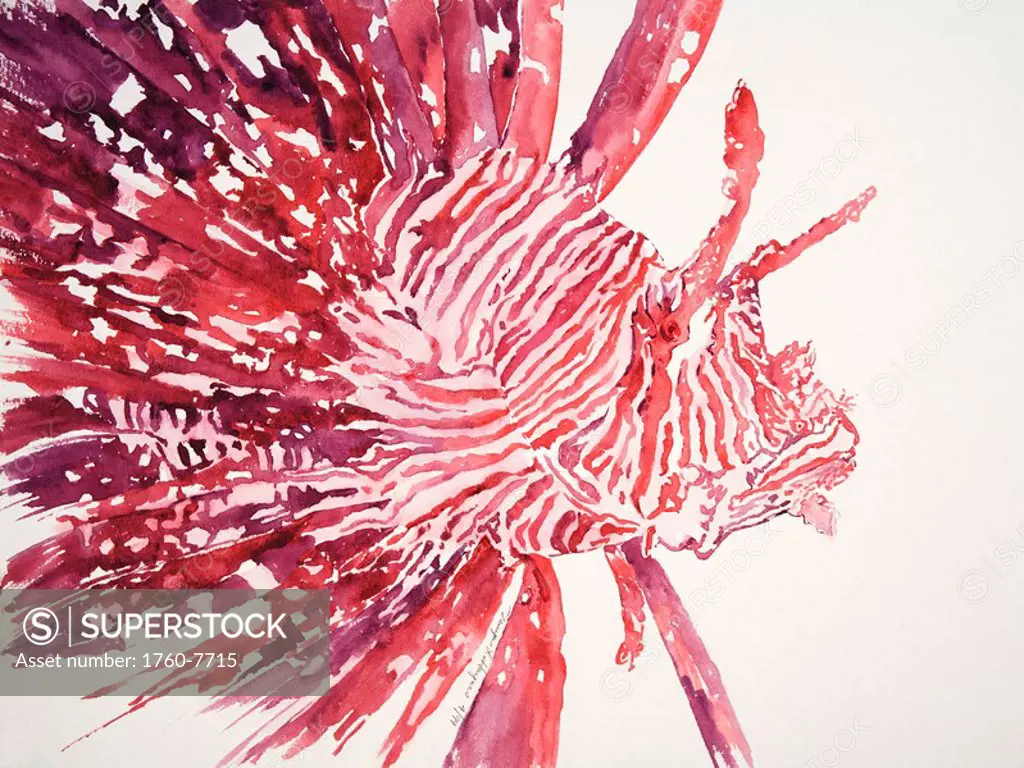 Lionfish, Profile of lionfish on white background Watercolor painting