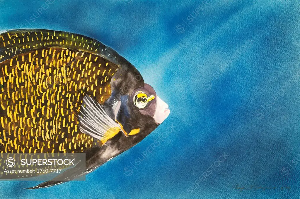French Angel, Profile of French Angelfish in blue ocean water Watercolor painting