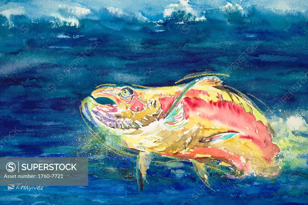Chinook Salmon, Fish leaping from ocean water, View from side Watercolor on canvas