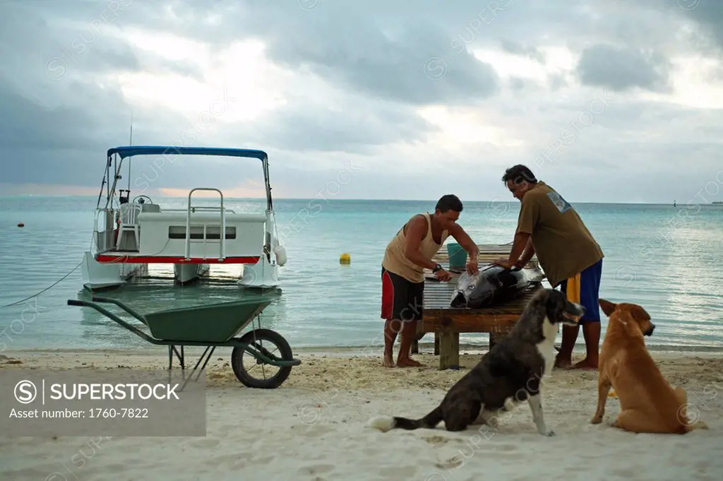 French Polynesia, Tahiti, Maupiti, men cleaning fish at lagoon