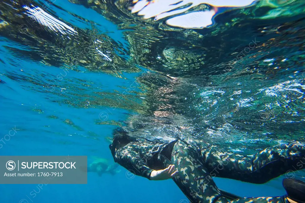 Hawaii, Maui, Makena, Spearfisher in blue ocean water, View from behind.