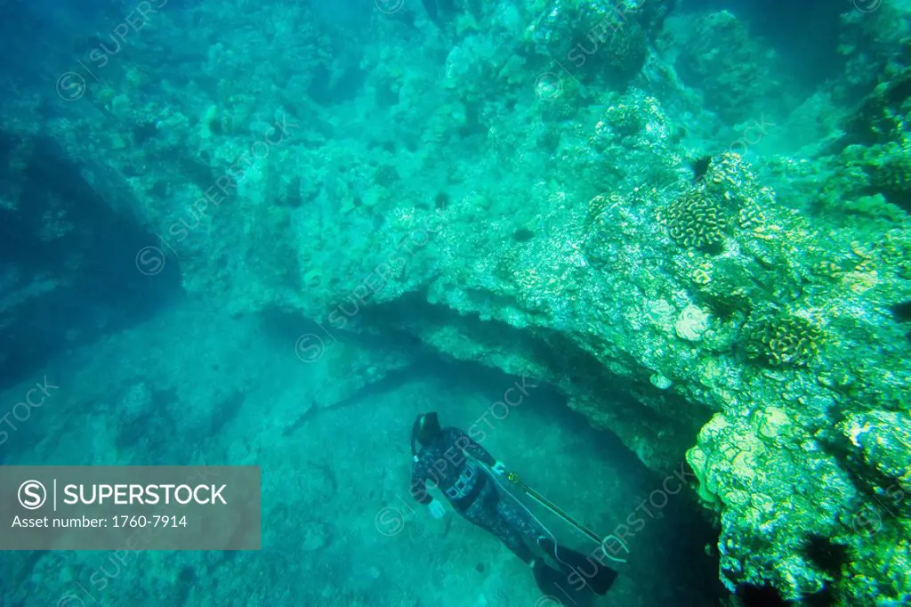 Hawaii, Maui, Makena, Spearfisher a bottom of ocean exploring reef.