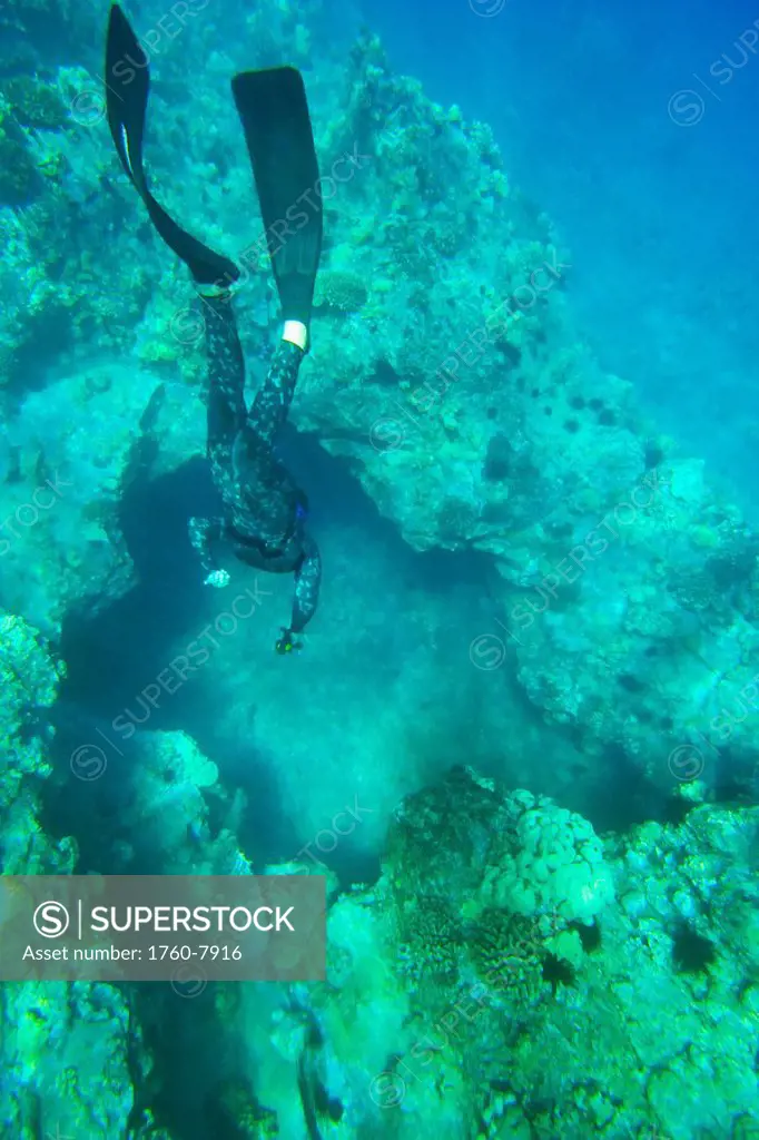 Hawaii, Maui, Makena, Spearfisher diving into hole in reef.