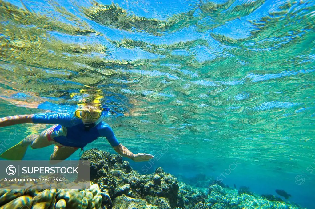 Hawaii, Maui, Makena, Ahihi Kinau Natural Area Reserve, Snorkeler in clear ocean water above reef.