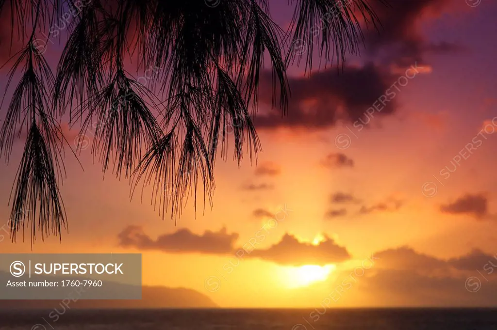 Hawaii, Oahu, Beautiful sunset.