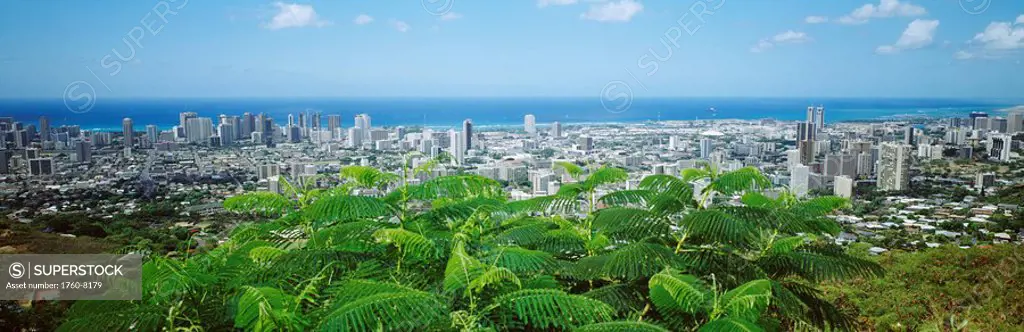 Hawaii, Oahu, Honolulu, Panoramic view of city buildings and greenery from Tantalus Lookout.