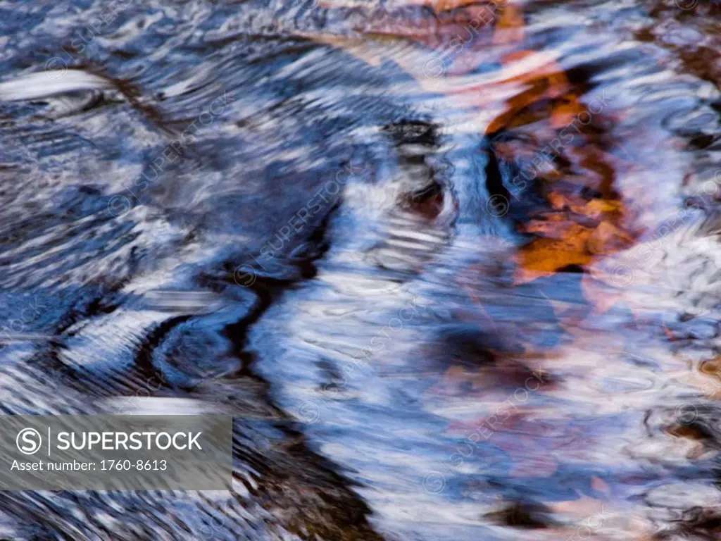 Dakota Rising, Massachusetts, Seekonk, Caratunk Wildlife Refuge, Water patterns, reflections and leaves.
