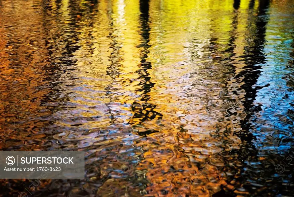 Fall Spirits, Rhode Island, Bristol, Blithewold, Colorful reflections on water.