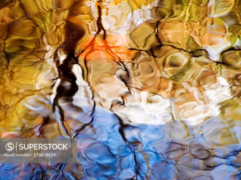 Elementals, Massachusetts, Seekonk, Caratunk Wildlife Refuge, Colorful glassy reflections on water.