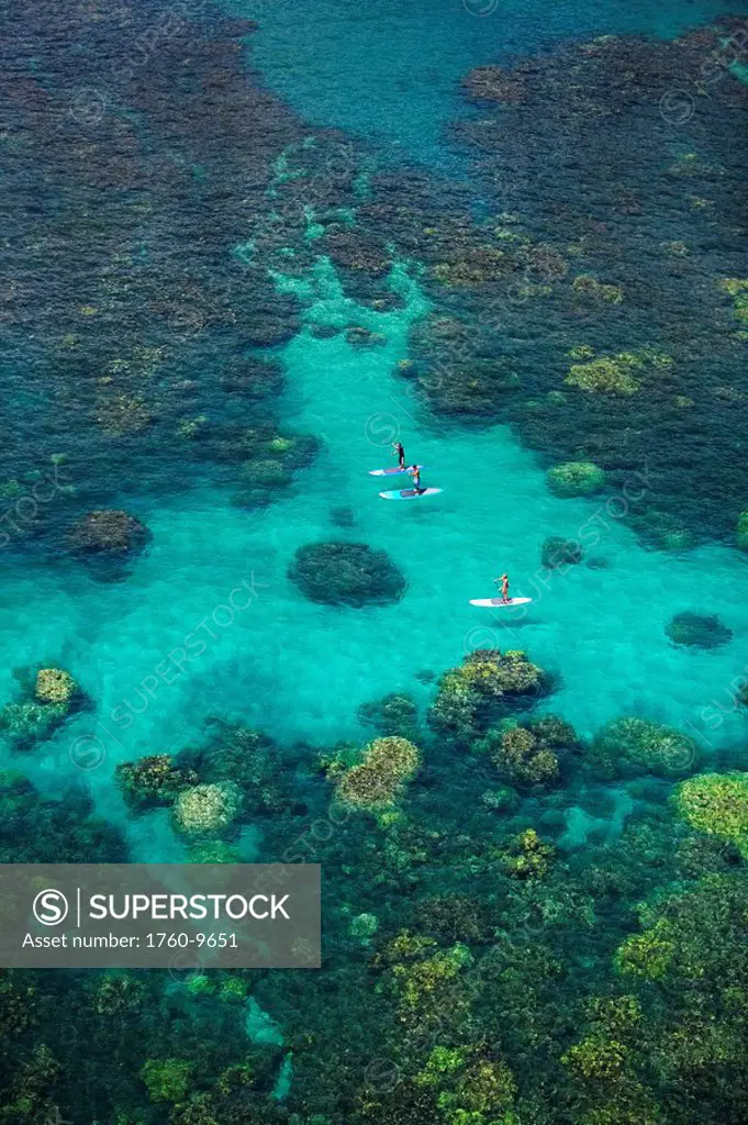 Hawaii, Maui, Olowalu, Stand up paddling.