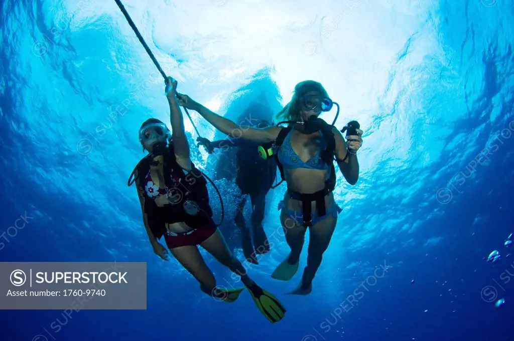 Hawaii, Divers underwater on anchor line.