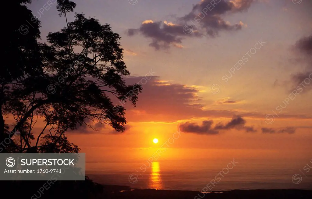 Hawaii, Big Island, Kona coast, Sunset over ocean, Silhouetted tree in foreground.