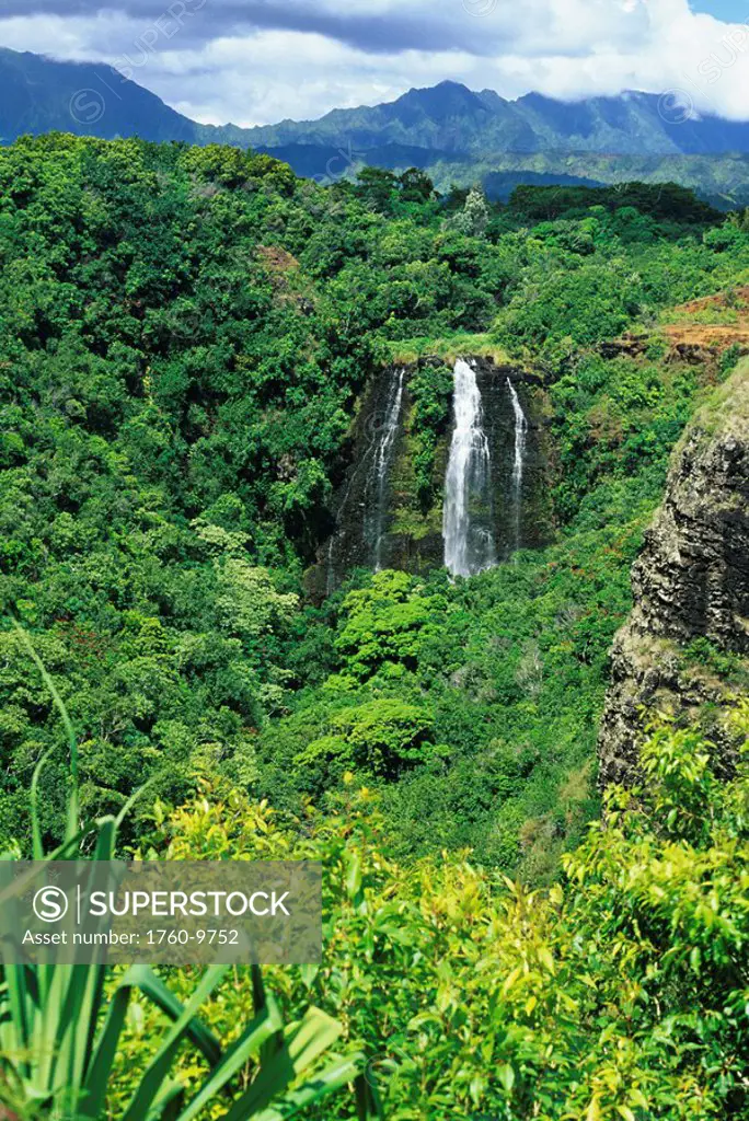Hawaii, Kauai, Opaekaa Falls surrounded by lush greenery.