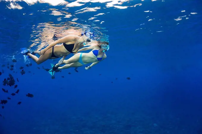Two young women free diving with black triggerfish (Melichthys niger), Molokini Marine Preserve off the island of Maui; Maui, Hawaii, United States of...