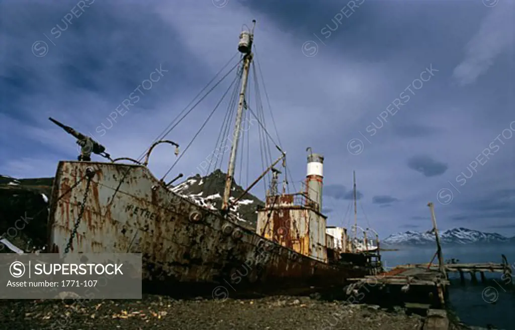 Wrecked whaling ship at the coast, Grytviken, South Georgia Island, Falkland Islands