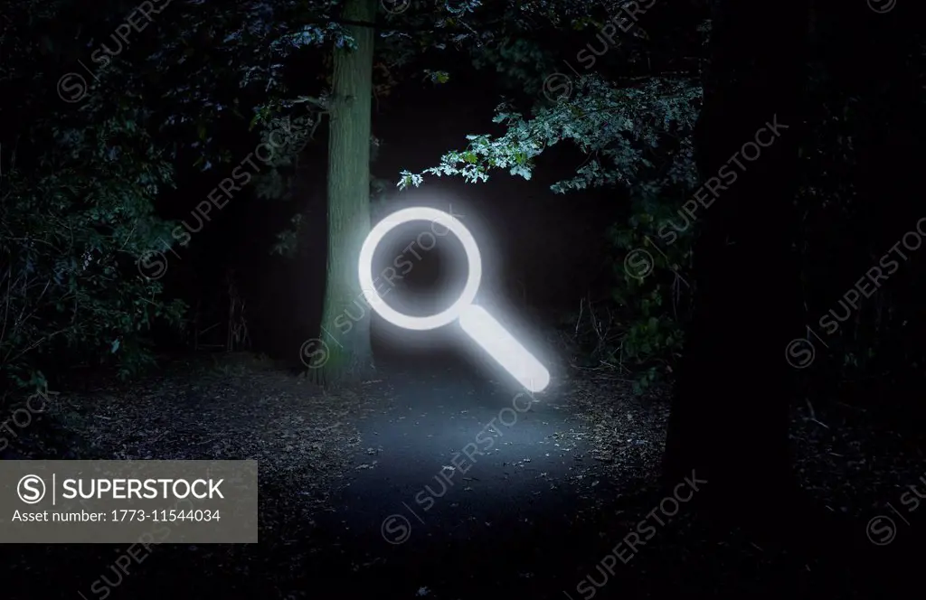 Forest at night, with illuminated search symbol