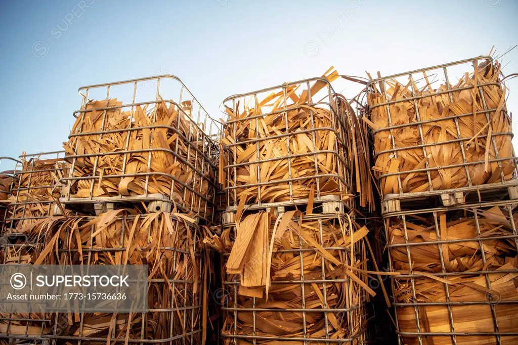 Large stacks of wood waste for recycling in wood recycling plant.