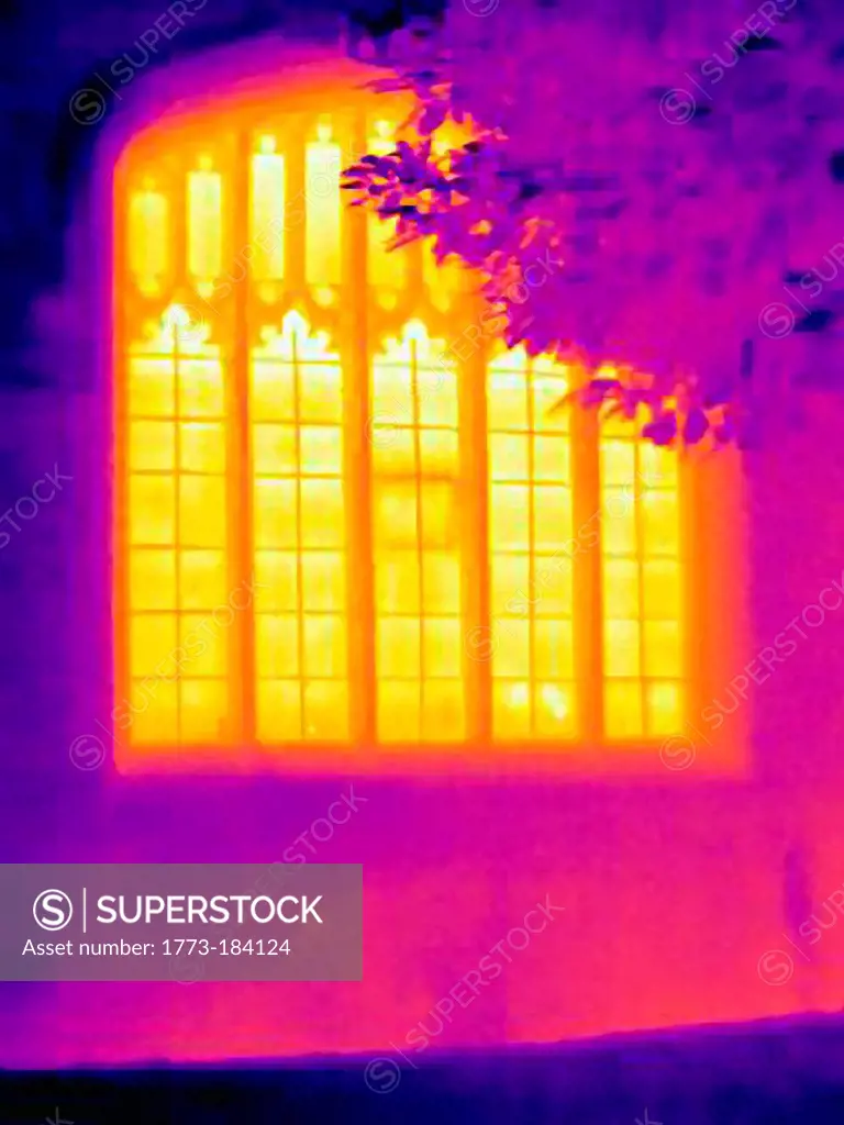 Thermal image of ornate window