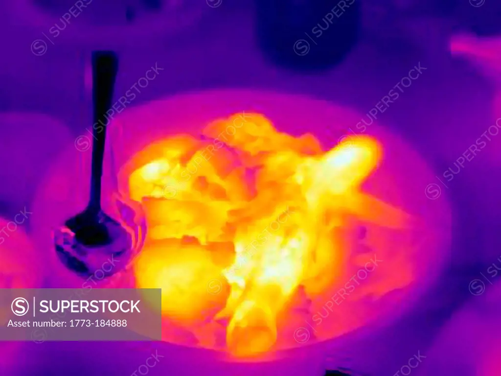 Thermal image of plate of food