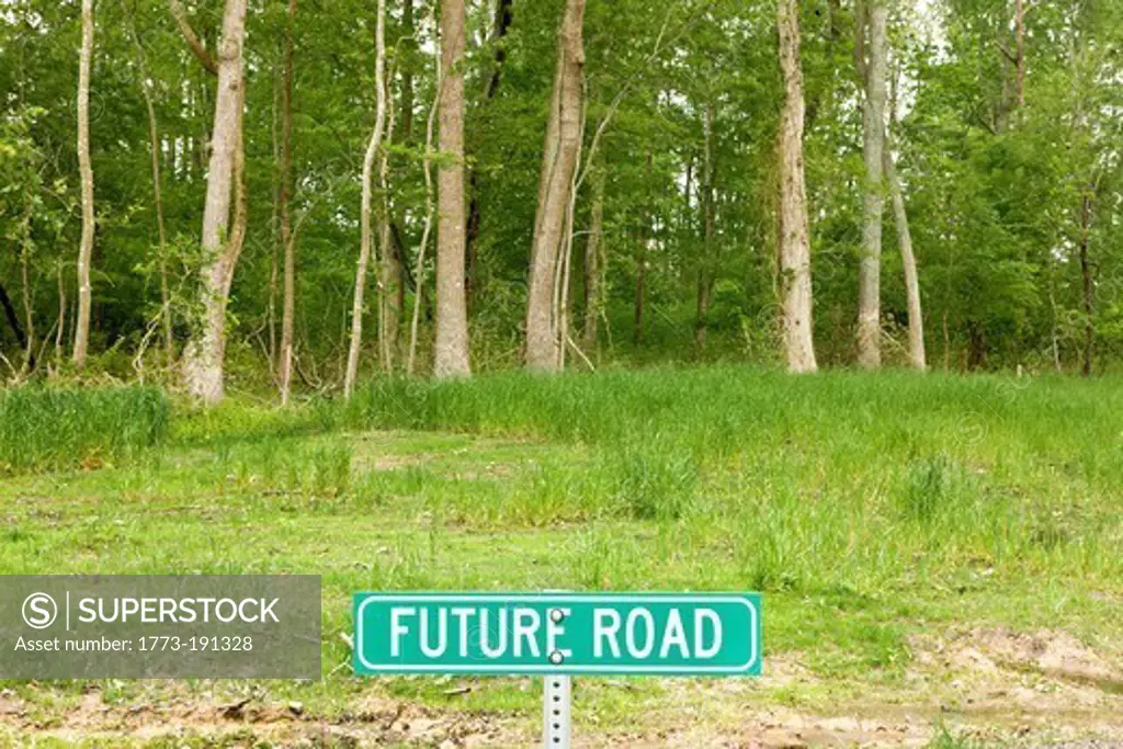 Road sign saying future road in forest