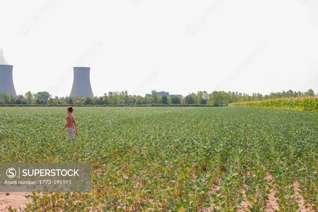 Boy in field of soy beans