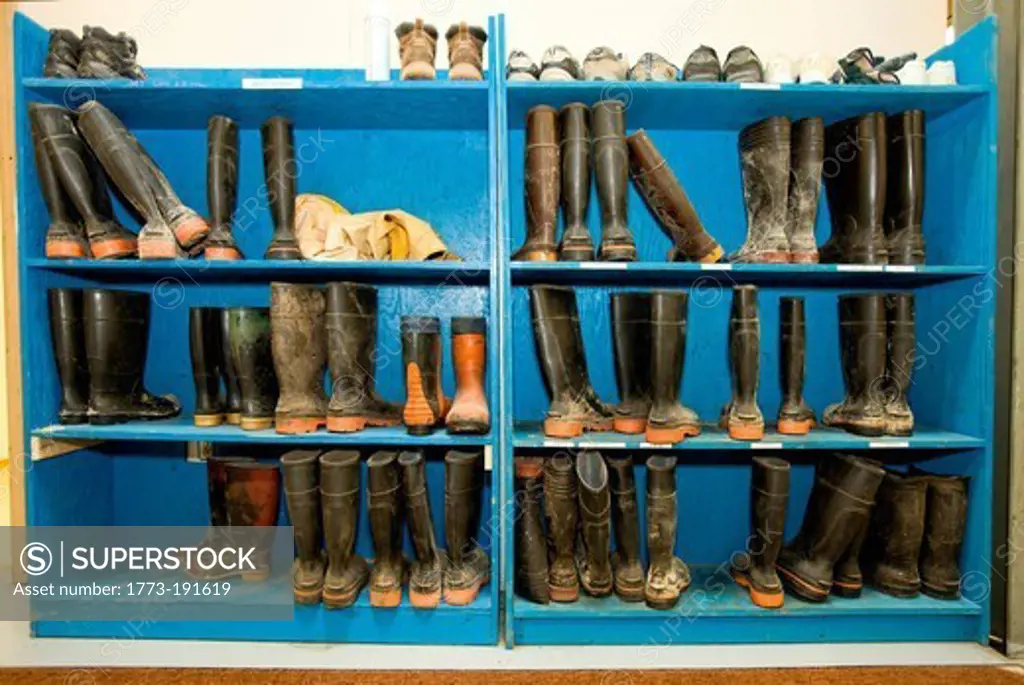 Work boots on shelves