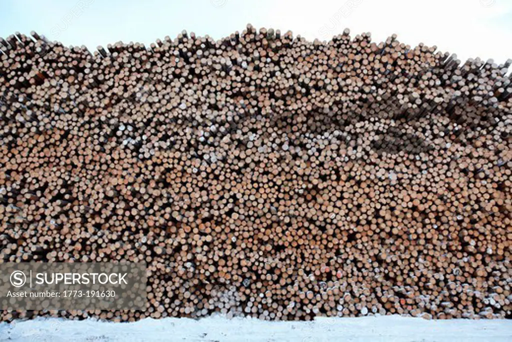 Large stack of logs