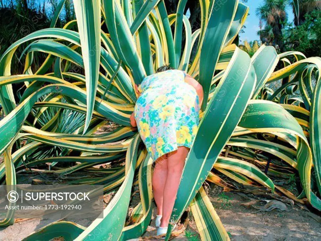 Woman peering into a giant succulent