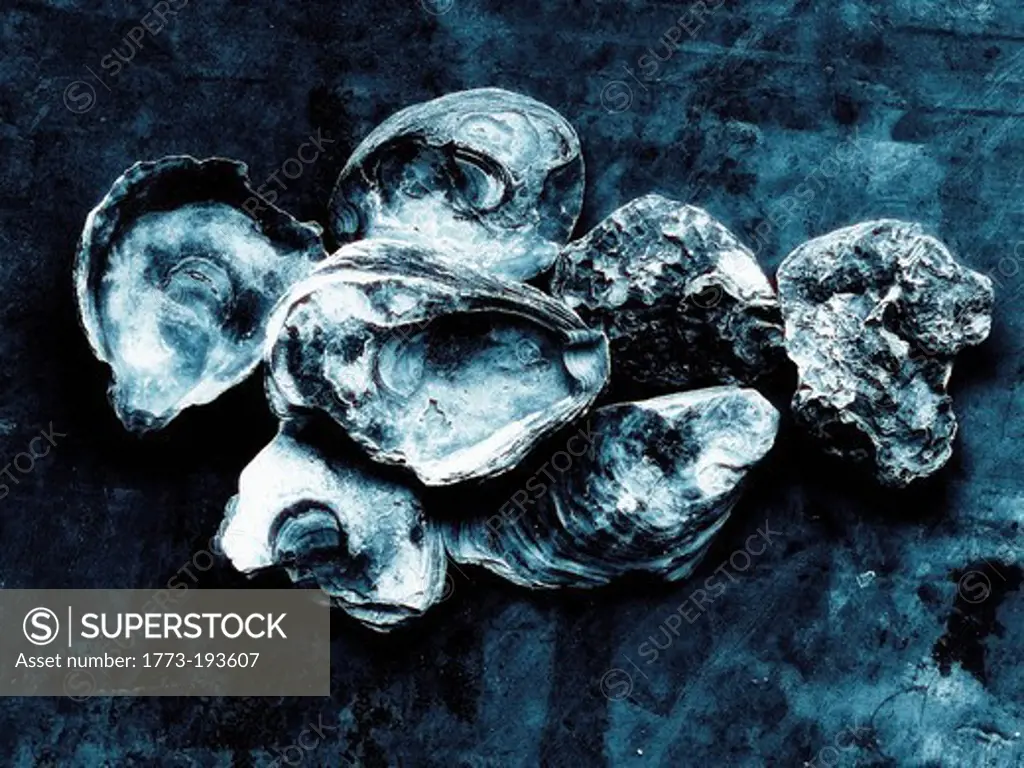 Heap of empty oyster shells