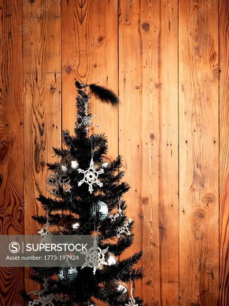 Christmas tree against wood panelling