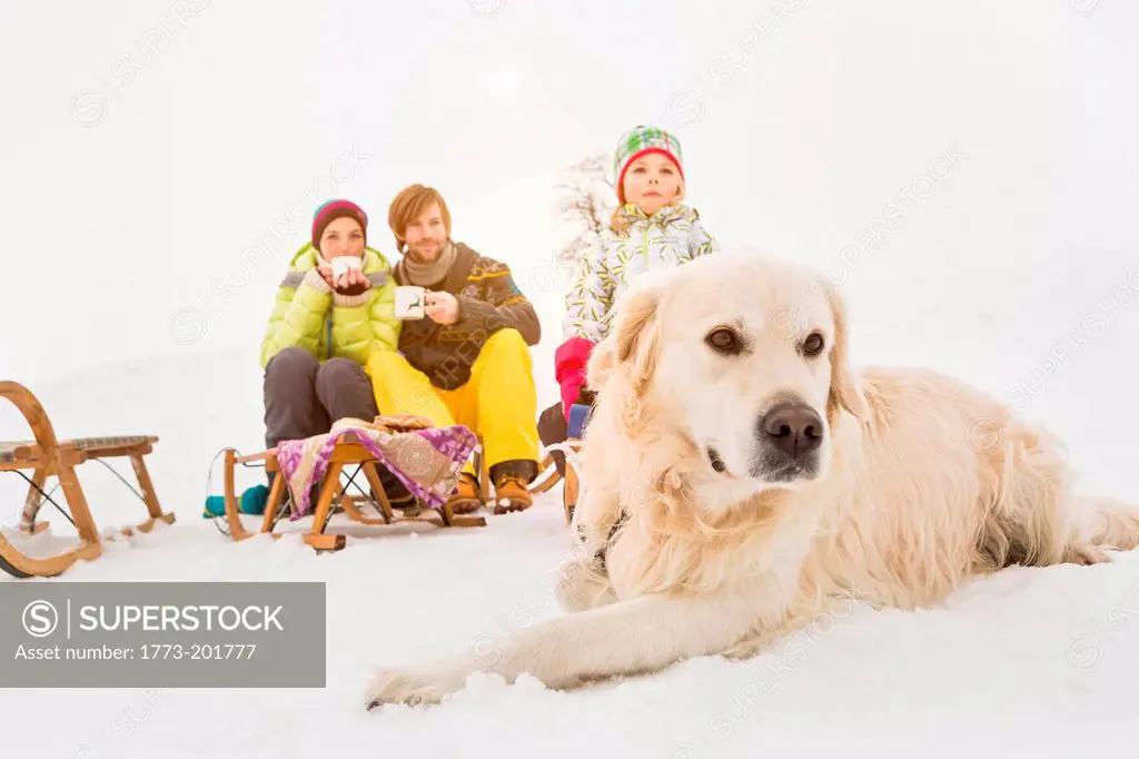 Dog lying in snow with family in background