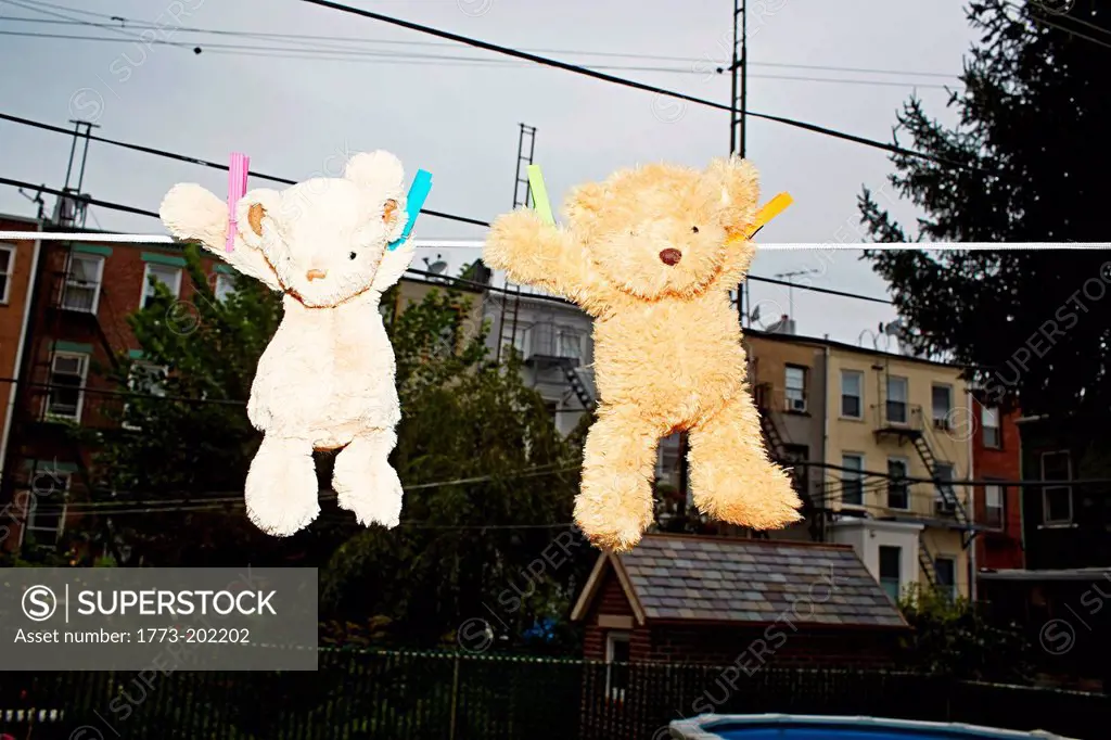 Two teddy bears hanging on clothes line