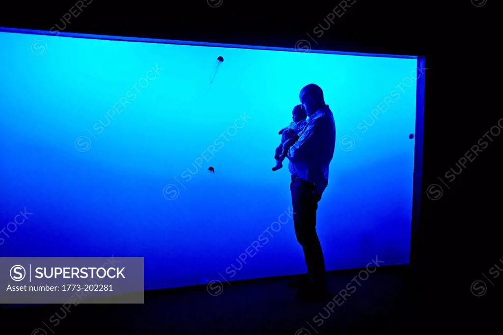 Father and son watching jellyfish at aquarium