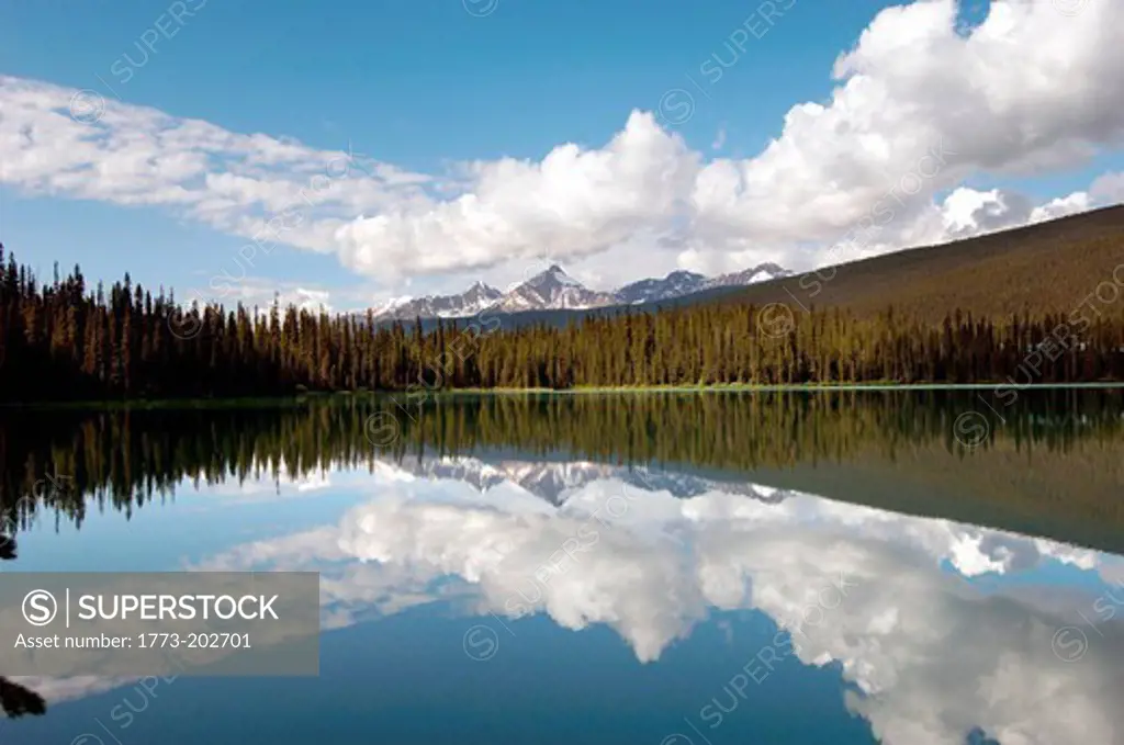 Reflection in Emerald Lake, Rocky Mountains, British Colombia, Yoho National Park, Canada, North America.