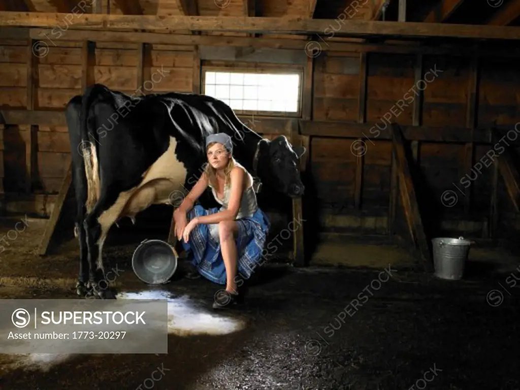 Young woman sitting next to cow in barn. There is spilt milk on the floor. Woman and cow is looking at camera.