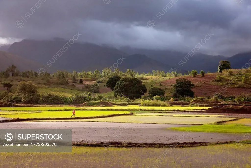 A man runs across a paddy field, with stormy skies beyond, near Fort Dauphin, Madagascar