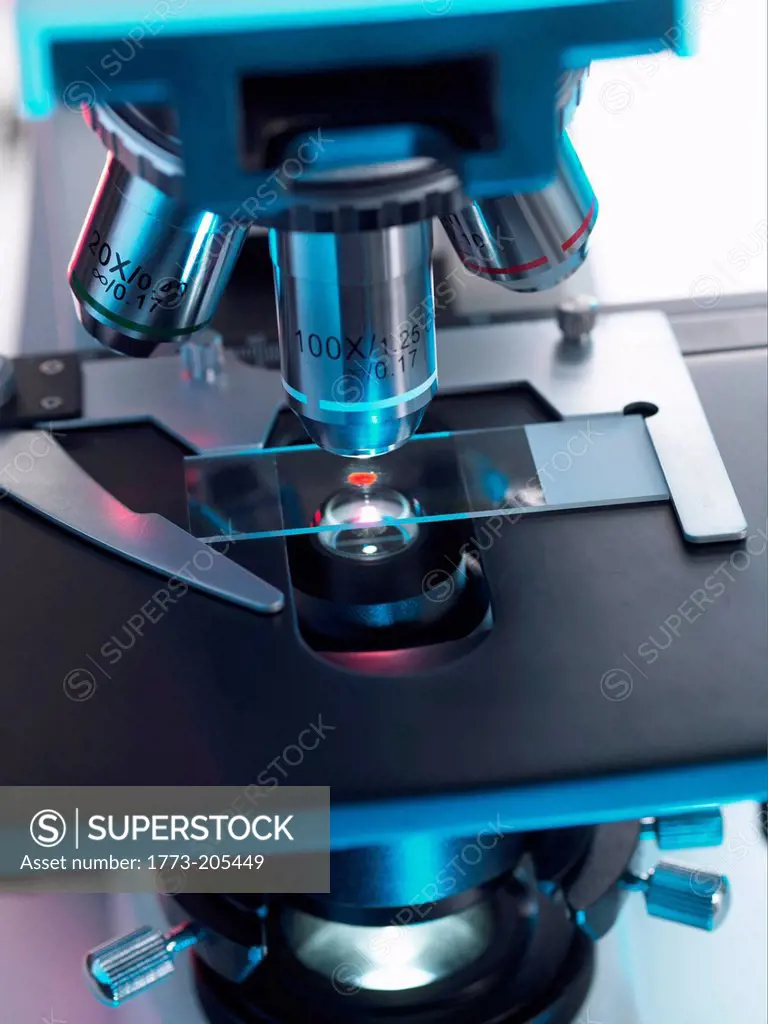 A light microscope examining a sample of tissue in lab for pharmaceutical research