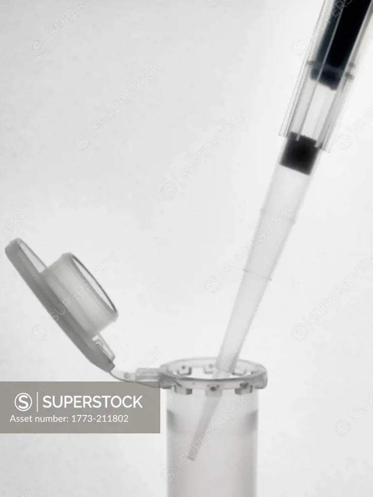 Pipette and eppendorf vials