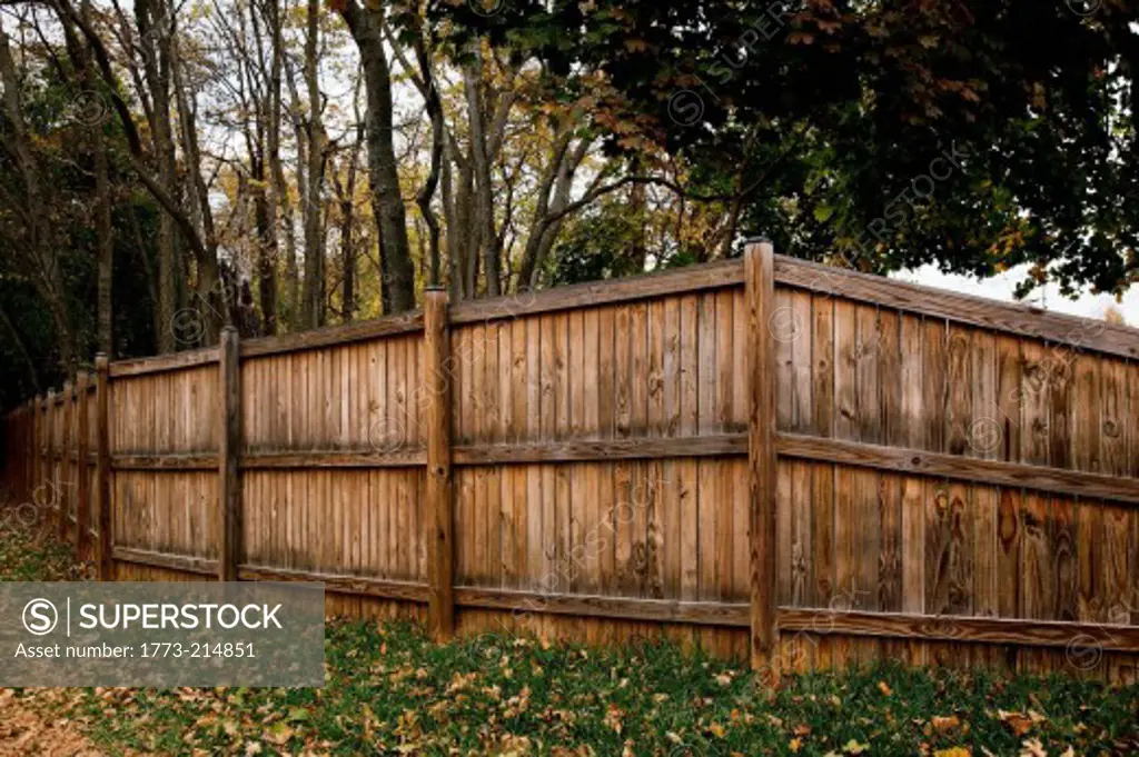 Wooden fence enclosing trees