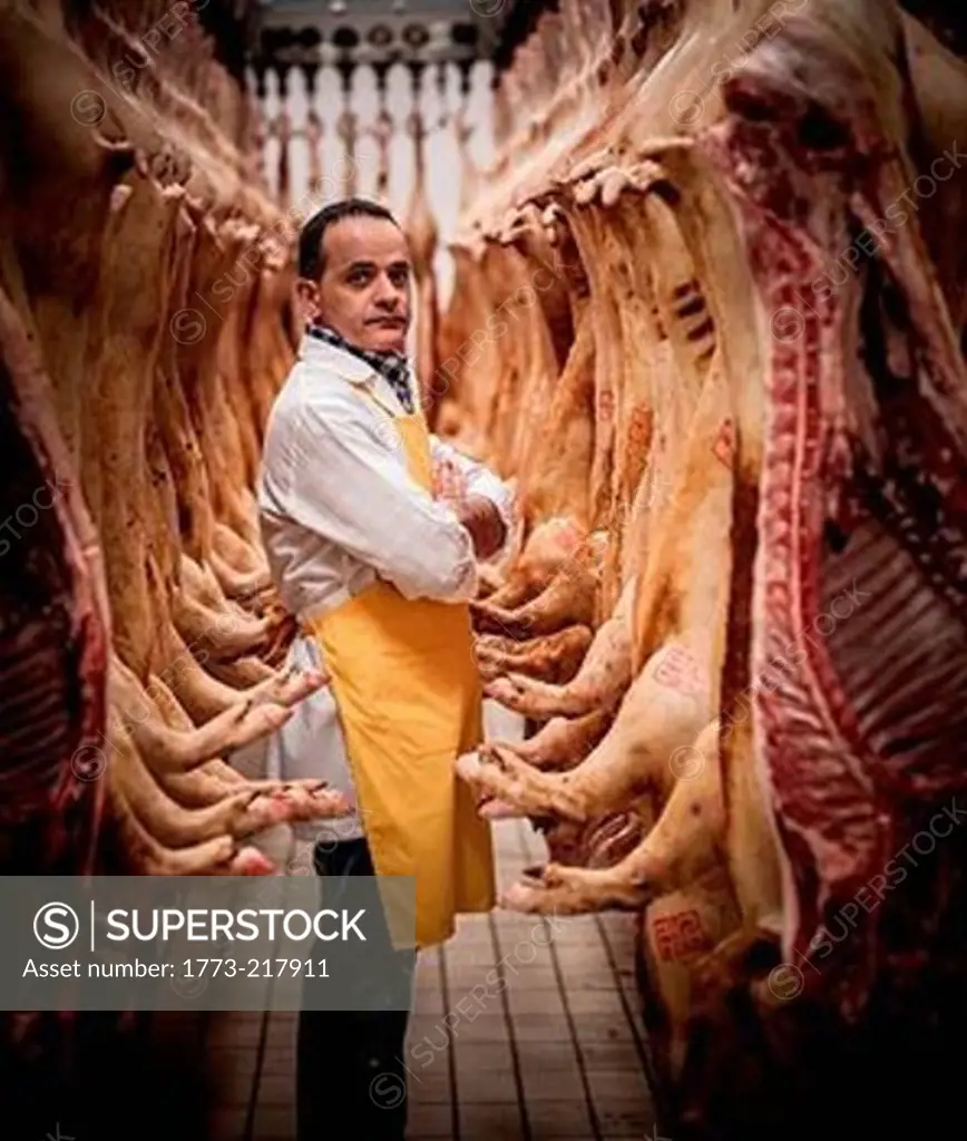 Portrait of Italian butcher surrounded by hanging pig carcasses
