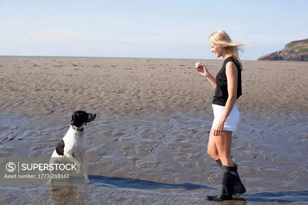 Woman holding ball for dog on beach, Wales, UK