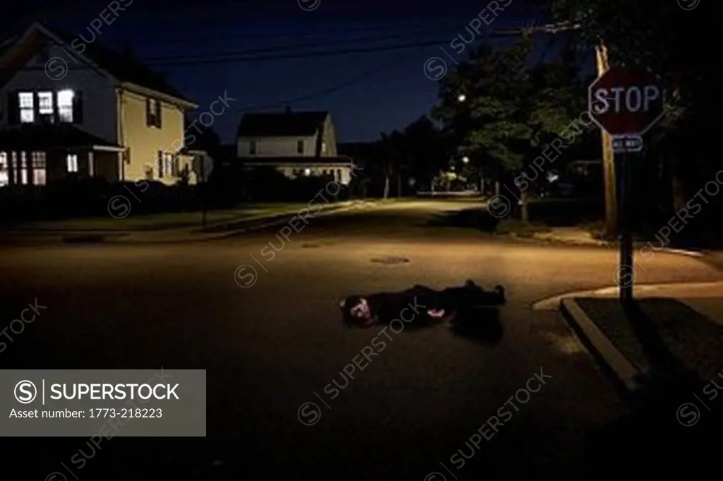 Businessman lying on suburban street unconscious at night