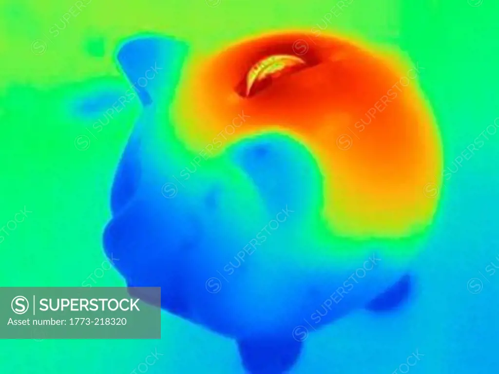Thermal photograph of piggy bank with coin