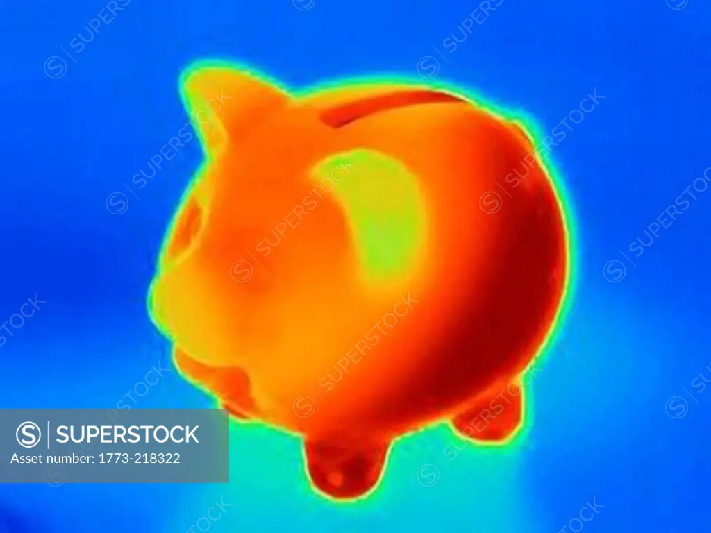 Thermal photograph of piggy bank