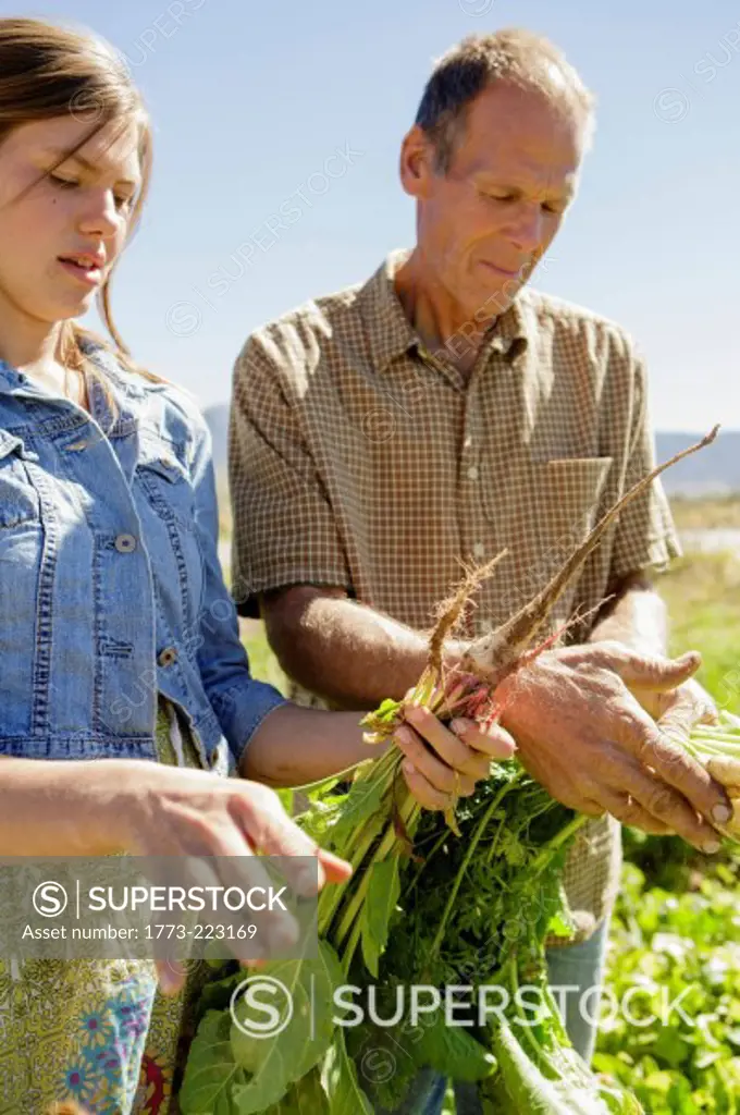 Father and daughter farmers checking crops