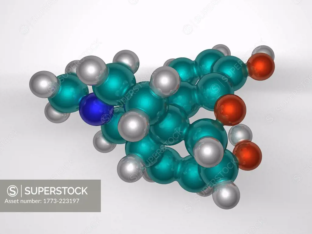 3D molecular model of morphine