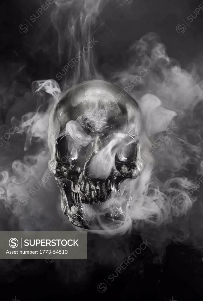 Human Skull with Smoke, Still Life