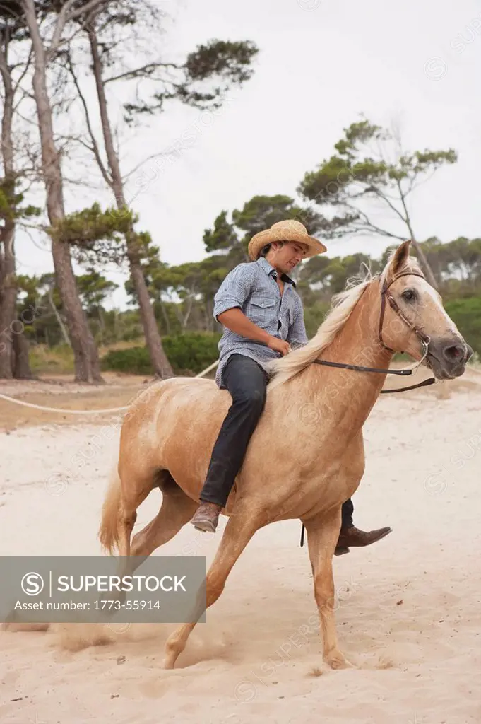 man sitting on horse