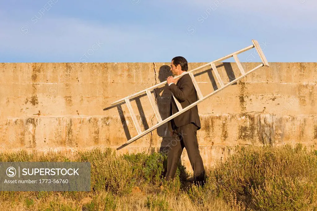 Businessman, ladder,wall